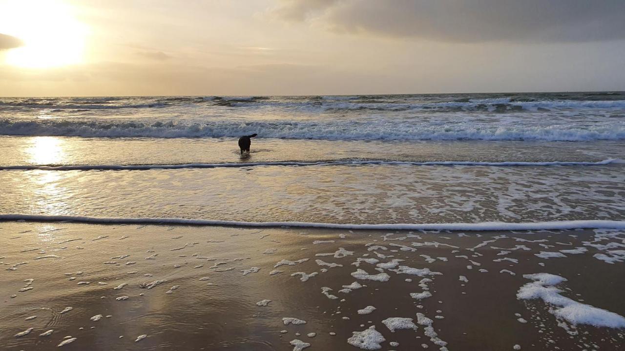 Luxe Vakantiebungalow Met Omheinde Tuin Voor Hond En Kinderen Dirkshorn Dış mekan fotoğraf
