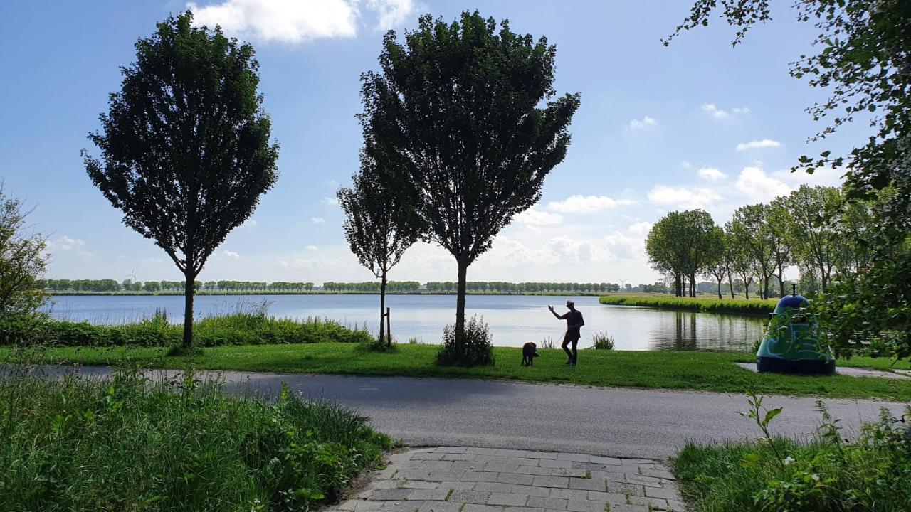 Luxe Vakantiebungalow Met Omheinde Tuin Voor Hond En Kinderen Dirkshorn Dış mekan fotoğraf