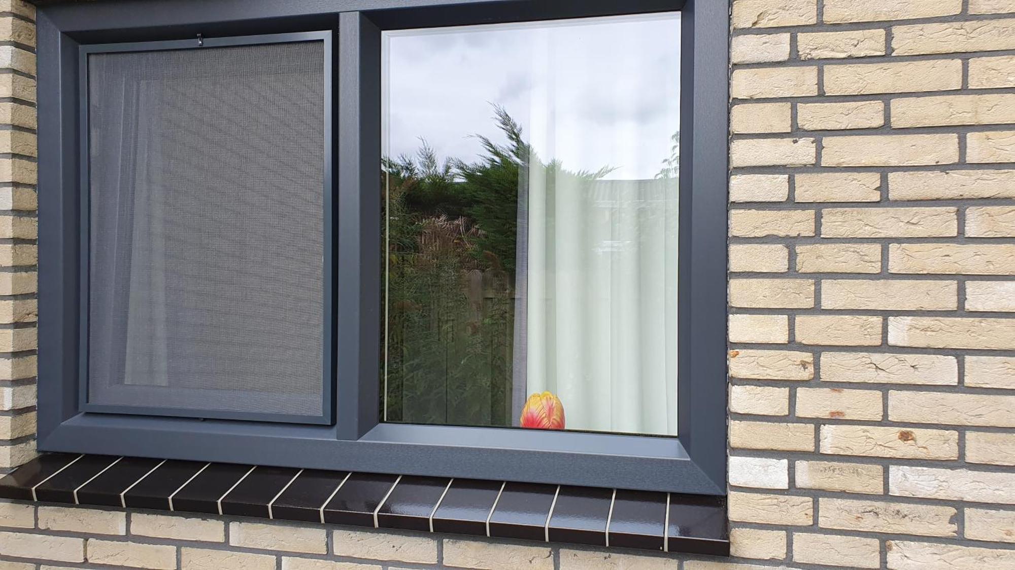 Luxe Vakantiebungalow Met Omheinde Tuin Voor Hond En Kinderen Dirkshorn Dış mekan fotoğraf